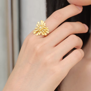 fireworks open ring