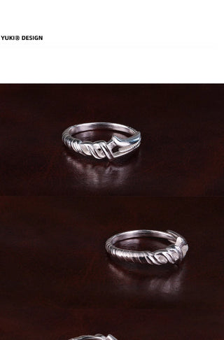 eva longinus ring