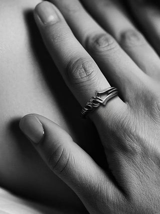 eva longinus ring
