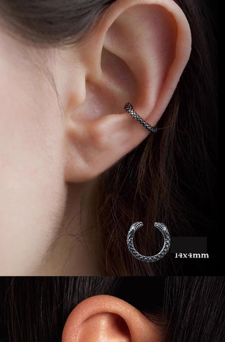 snake ornament earrings
