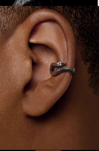 snake ornament earrings