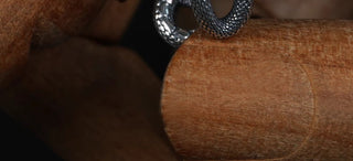 snake ornament earrings