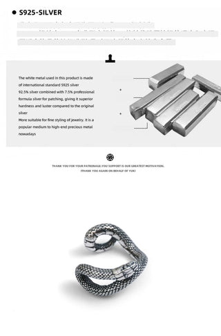 snake ornament earrings