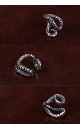 snake ornament earrings