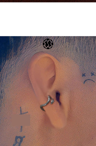 snake ornament earrings