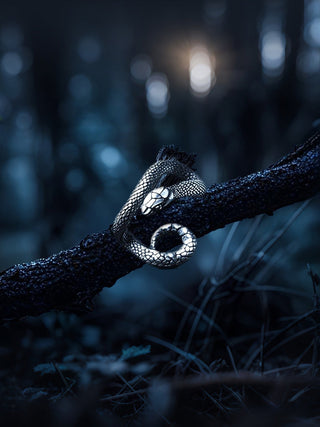 snake ornament earrings