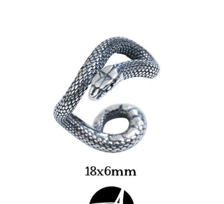 snake ornament earrings