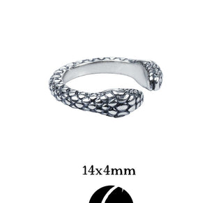 snake ornament earrings