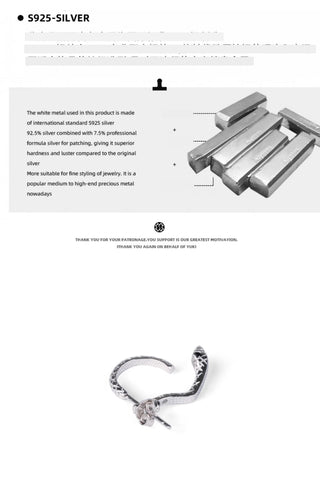 double-sided snake earrings