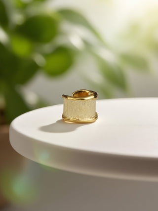 earless tide clip earrings